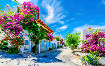 Bodrum Uçak Bileti